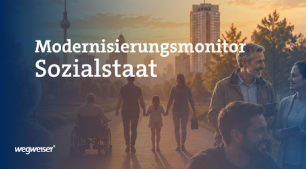 Sozialstaat Studie