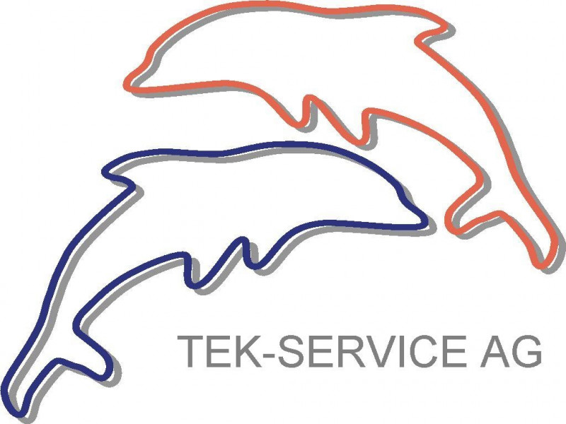 Logo TEK-Service AG